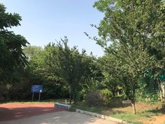 -云岗森林公园