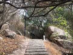 -厦门国家会计学院