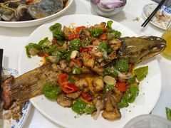 -煲来饱去冷水鱼