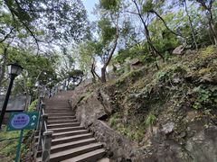 -紫金山天文台