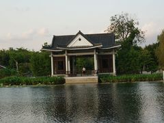 -映月湖公园