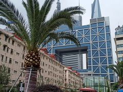 -上海市东方医院(总院)