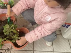 -伊顿幼儿园(棕榈泉校园)