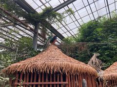 -呀路古热带植物园