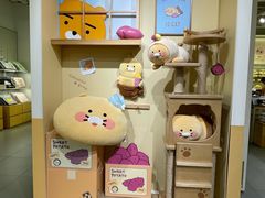 -KAKAO FRIENDS(弘大店)
