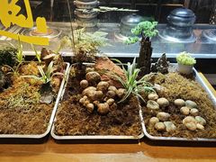 -福照楼汽锅鸡·云南特色菜(护国路店)
