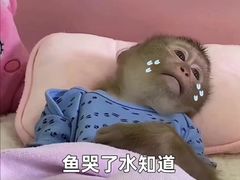 -螺世纪螺蛳粉·桂味小排档(裕德店)