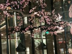 -老板恋上鱼(高新万达店)