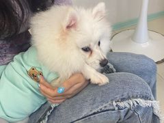 -怪兽屋·羊驼·猫咖·狗咖(俊华广场店)