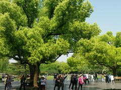 景观位-御花园·粤菜·海鲜火锅(中山公园店)