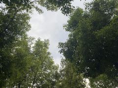 -海合安武汉极地海洋公园