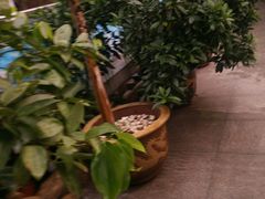 -盛彼得温泉度假酒店