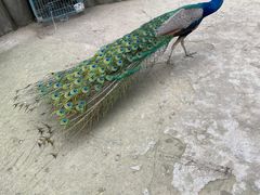 -昆山城市生态森林公园