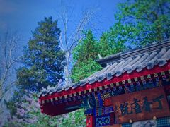 -宣武艺园
