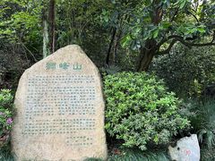 -十八棵（老龙井）御茶园(老龙井店)