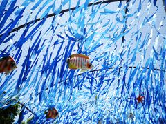 -上海海洋水族馆