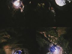 -上海佘山国家森林公园天马山园