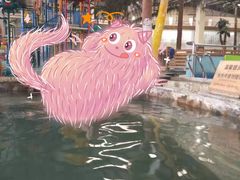 -南宫温泉水世界