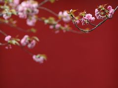 -明蜀王陵(地铁站)