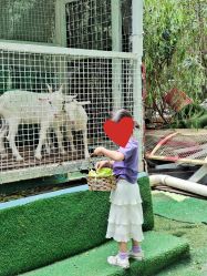 -可可天空农场(中大店)