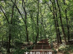 -紫金山山顶公园