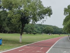 -艾溪湖湿地公园