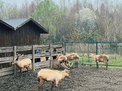 -溱湖国家湿地公园