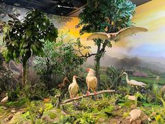 -陕西自然博物馆