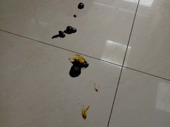 -艾贝尔宠物医院·24H转诊中心·肿瘤猫专科(江宁双龙店)