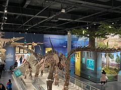 -国家自然博物馆