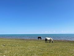 -青海湖国家重点风景名胜区