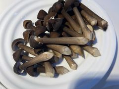 鸡枞菌-黑鸡小馆(金源店)