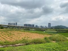 -光明小镇欢乐田园