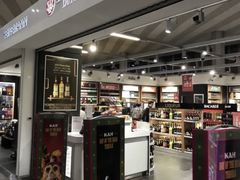 -谢列梅捷沃国际机场