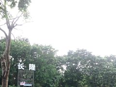 -广州长隆飞鸟乐园