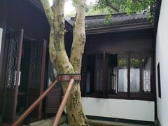 -上海醉白池公园
