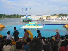 -秦皇岛乐岛海洋王国