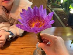 -泰香米泰国餐厅(中大国际店)