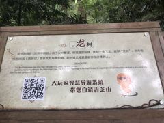 -青芝山风景名胜区