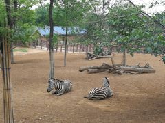 -石家庄市动物园