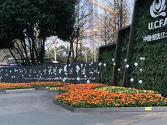 -重庆市江北嘴中央商务区中央公园