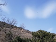 -北京西山国家森林公园