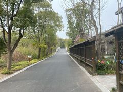 -同里国家湿地公园