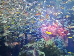 -成都浩海立方海洋公园