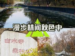 -白水寺森林公园