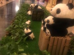 -成都保利公园皇冠假日酒店(熊猫基地店)