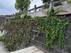 -燊海井