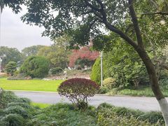 -浙江西子宾馆·瑶园咖啡厅