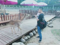 -西安秦岭野生动物园
