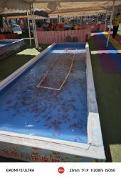 -萌宠亲子动物乐园(槐房万达店)